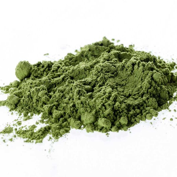 Grüntee Japan Matcha Uji Bio