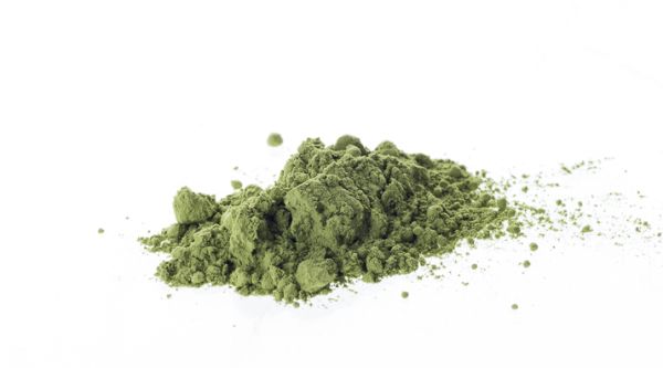 Grüntee Japan Matcha Kirishima bio