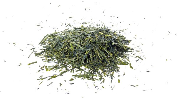 Grüntee Japan Morimoto Sencha Minami Sayaka