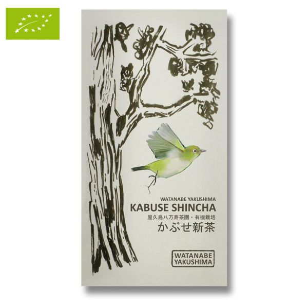 WATANABE KABUSE SHINCHA