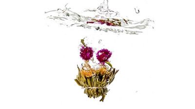 Teeblume Blütentanz