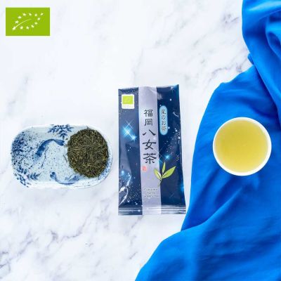 Grüntee Bio Star No.1 (Bio)