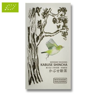 WATANABE KABUSE SHINCHA 2024