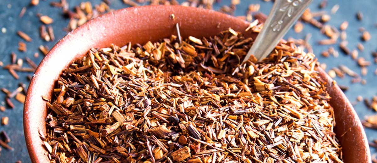 Rooibos Tee – Genuss aus Südafrika für jedermann